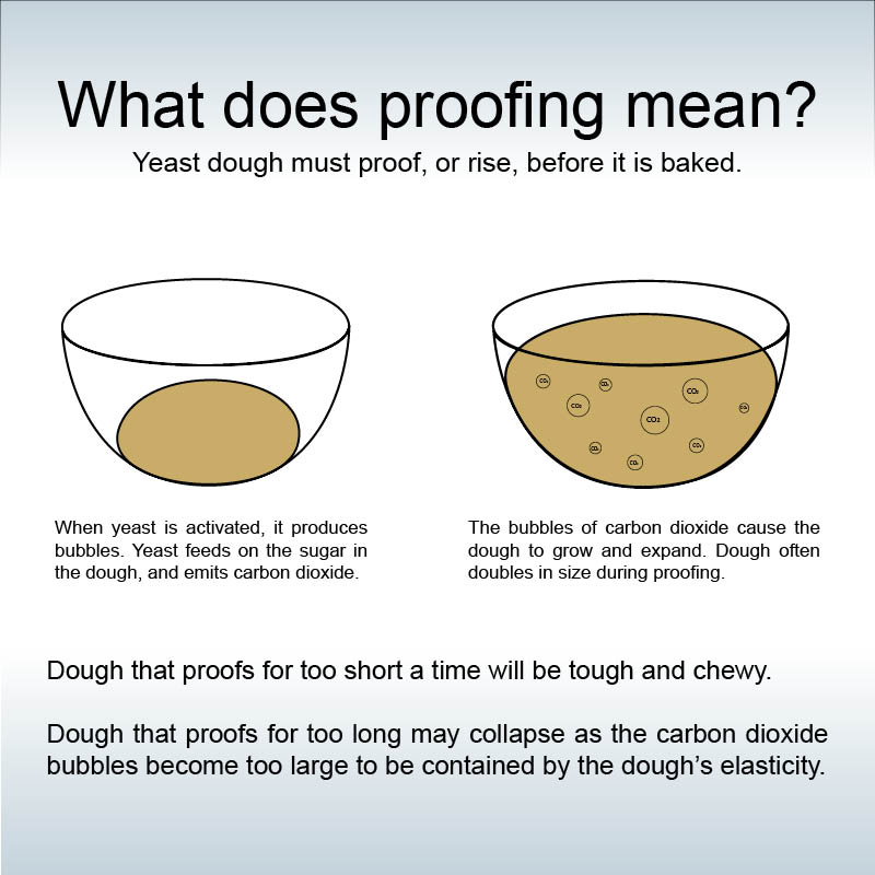 Proofing (baking technique) - Wikipedia